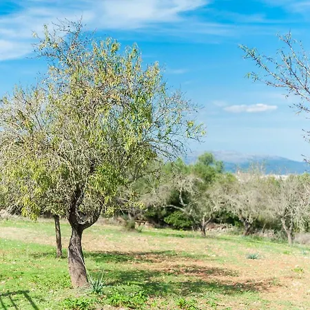 Villa Son Rossinyol Llubi